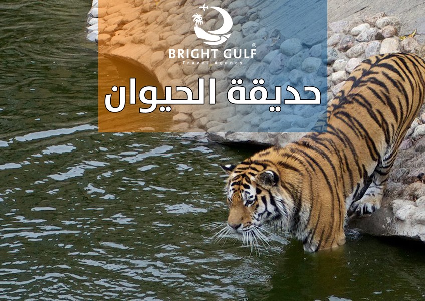 حديقة الحيوان